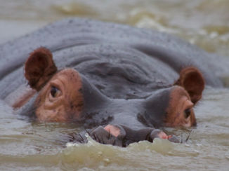 Saint Lucia - Welkom in Saint Lucia!