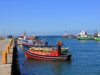 Zuid-Afrika - Simons Town