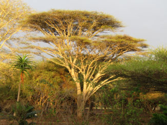 Zuid-Afrika - Rhino River Lodge