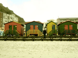 Zuid-Afrika - Muizenberg! Surfen en haaien :-)