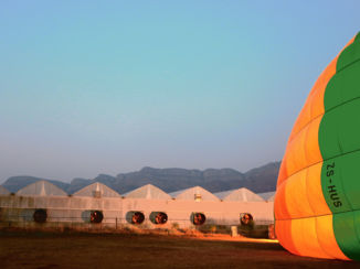 Zuid-Afrika - Ballonvaart in Hoedspruit