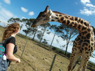 Zuid-Afrika - Ontmoeting met Gambit