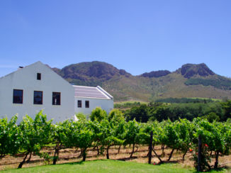Zuid-Afrika - Franschoek
