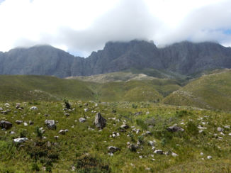 Zuid-Afrika - Jonkershoek Nature Reserve