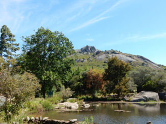 Zuid-Afrika - Paarl Mountain Nature Reserve