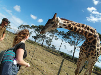Zuid-Afrika - Mansfield Game Reserve in Port Alfred