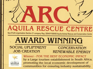 Zuid-Afrika - Aguila