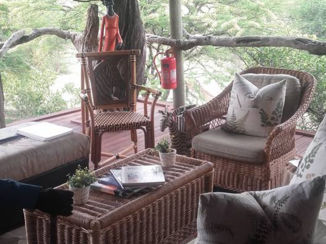 Zuid-Afrika - Endangered species centre hoedspruit