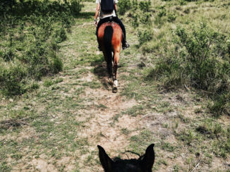 Zuid-Afrika - Paardrijden in Rorke's Drift