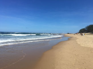 Zuid-Afrika - St. Lucia Wetlands Park