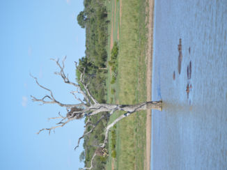 Krugerpark - een poeltje ergens in het park