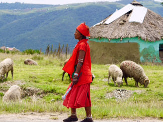 Zuid-Afrika - Coffee Bay