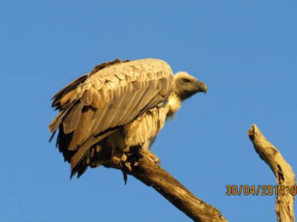Zuid-Afrika - Blue sky