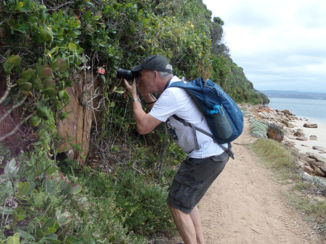 Rondreis Zuid-Afrika in drie weken - Iemand moet de foto's maken toch?