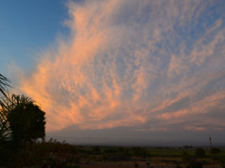 Rondreis Zuid-Afrika in drie weken - we hebben genoten!