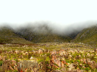 Zuid-Afrika - Swartbergpas