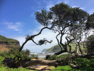 Zuid-Afrika - Tijdens mijn hike van Coffee Bay naar Bulungula