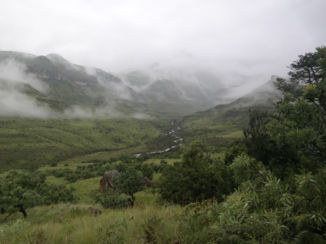 Zuid-Afrika - Drakensbergen