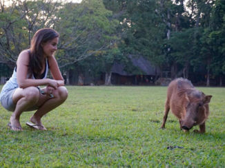 Zuid-Afrika - Mlilwane