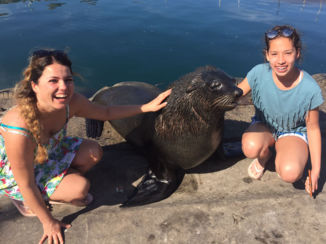 Rondreis Zuid-Afrika in twee weken