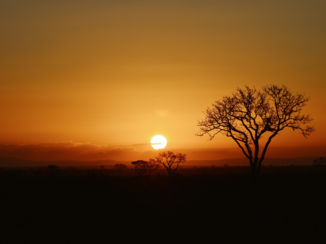Zuid-Afrika - Zonsondergang Kruger Park