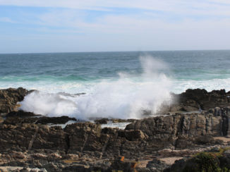 Zuid-Afrika - tsitsikamma