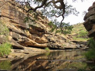 Zuid-Afrika - Rhenosterkloof.