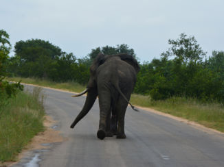 Rondreis van Johannesburg naar Kaapstad