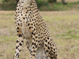 Zuid-Afrika - Emdomni Rehabilitation Center