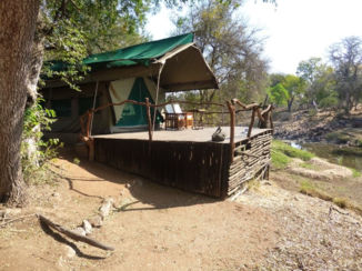 Zuid-Afrika - Wild at Tuli (25 km over de grens in Botswana)
