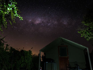 Addo Elephant National Park - De melkweg boven je tent
