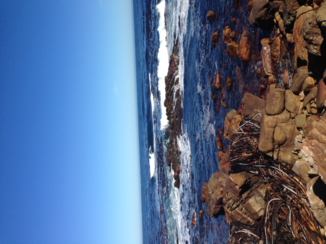 Kaap de Goede Hoop - peaceful cape point