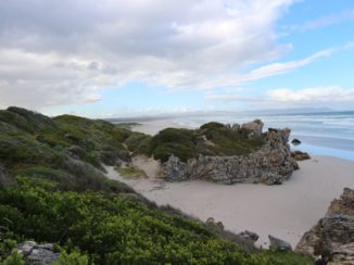 Zuid-Afrika - Hermanus