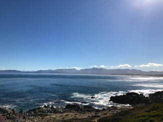 Zuid-Afrika - Hermanus