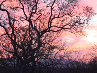 Zuid-Afrika - Zons ondergang Karangwe private game reserve