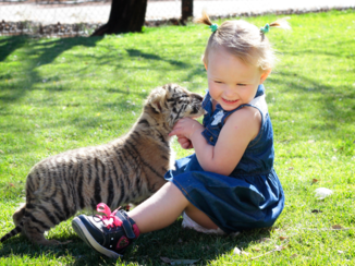 Zuid-Afrika - Diere liefhebber