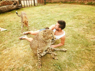 Zuid-Afrika - Cheetah's- lief!