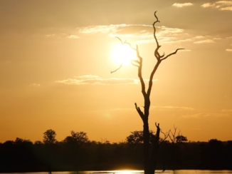 Zuid-Afrika - Sunset