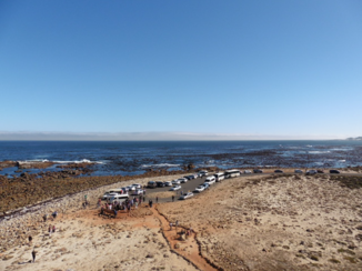 Zuid-Afrika - Capepoint