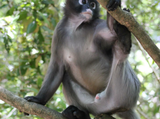 Rondreis Zuid-Afrika in drie weken - Doe maar gewoon hihi