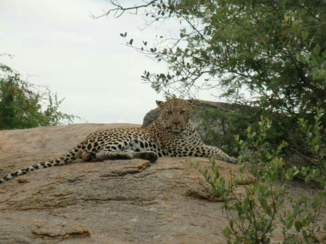 Krugerpark - Chillen