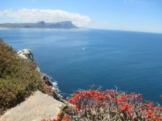 Zuid-Afrika - Capepoint