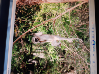 Krugerpark - Kijk mij nou