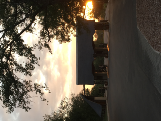 Zuid-Afrika - Krugerpark!