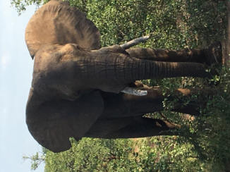 Zuid-Afrika - Echt heel dichtbij