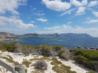 Kaapstad - Boulders beach