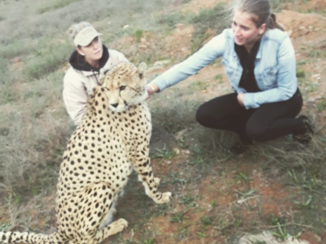 Zuid-Afrika - Face to face with Cheetah