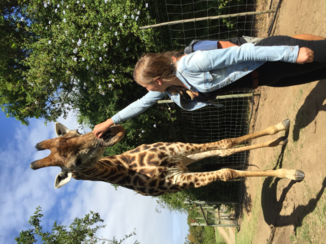 Zuid-Afrika - Gambit