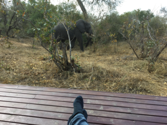 Zuid-Afrika - Vanuit m’n luie stoel