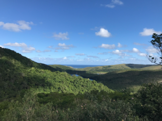 Rondreis van Johannesburg naar Kaapstad - Coffebay
